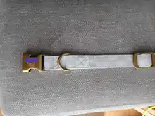 Dog-Collar Engraved Dogs Cat-Name Adjustable Custom Personalized Pet-Puppy Nylon Pug