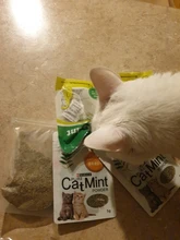 On-Toys Menthol Organic Premium Catmint Can-Be-Sprinkled And Pleasing