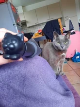 Towel-Rack Toilet-Paper-Holder Tissue-Hanger Adhesive Wall Bathroom Kitchen Cat Creative