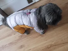 Coat Jacket Puppy Pet-Dog French Bulldog Small Dogs Waterproof Winter Super Cotton 