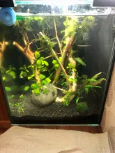 set Aquarium Aquarium Aquarium acrylic clip glass cover bracket 6 / 8 / 10 / 12mm