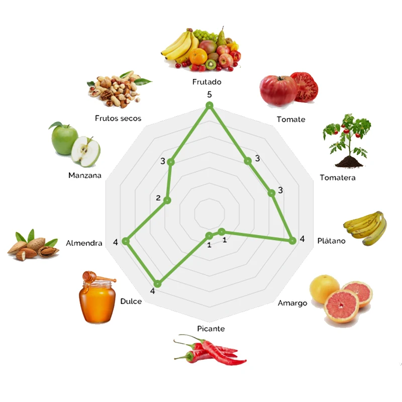 Extra virgin olive oil 5 litres (3 Garrafas), Cortijo La Muralla, Hojiblanca variety, cold extraction, AOVE 100% Natural