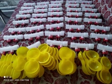 Chicken-Tools Drinking-Cup Water-Bowls Quail Pheasant 40