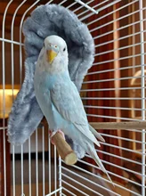 Cage-Accessories Bird Hammock Birds Parrot Warm Small Hanging-Tent Parakeet Hideout Winter