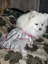 Dress Costume Dog-Puppy-Clothes PET PETCIRCLE Small Dog Classic Check Fit Pet-Cat All-Seasons