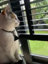 Portable Mini Bluetooth Tracker GPS Locator Anti-lost Tag Alarm Tracker For Pets Dog