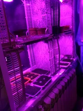 LED Grow Light 220V Full Spectrum LED Bar Lamp for Plants High Luminous Efficiency 8W