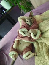 Coat Jumpsuit Clothing Puppy-Fleece Hoodie Apparel Pet-Dog Winter New Warm Velvet