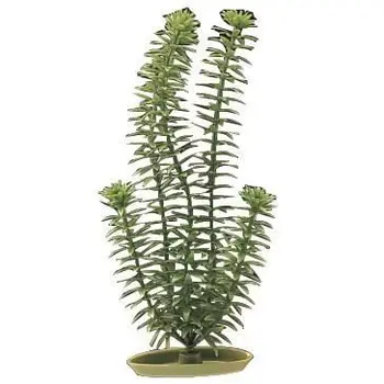 

AQUA artificial Plants Marine Anacharis 12.5 cm-Plastic-Green-For aquariums