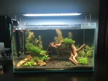 Light Aquarium-Lamp LED Chihiros Sunrise Sunset Built-In-Bluetooth-Controller Plus-Series