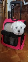 Luggage-Capsule Pet-Dog-Carrier-Bag Carrying Cat-Backpack Puppy Cats Travel Outdoor Double-Shoulder