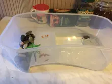 Caja de vivero de reptiles, hábitat de tortuga con rampa de pesca, herramientas de Acuario, caja de Vivarium de tortuga