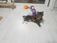 Novelty Halloween Dog Costumes Pet Clothes Cowboy Dressing up Jacket Coats for Dogs Funny