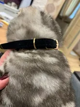 Collar de gato flocado para gatitos y mascotas, suministros