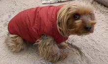 Abrigo de invierno para mascotas, ropa cálida para perros pequeños, abrigo de Navidad para perros grandes, chihuahua
