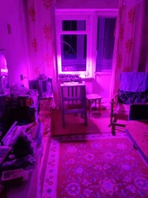 Indoor E27 Led 400W Grow Light Panel Full Spectrum Phyto Lamp For Flowers E26 Lamp For