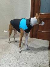 Chaleco impermeable para perros grandes y pequeños, abrigo cálido de invierno para cachorros, ropa para mascotas, 4XL, 5XL, nuevo