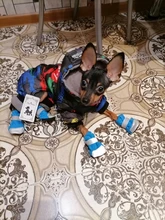 Pet-Boots Cat-Shoes Dog Small-Dogs Puppy-Socks Protecters Rain-Snow Anti-Slip Winter