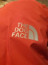 Reflective Clothing Coat Jacket Puppy Dog-Face-Hoodie Dogs Small Waterproof Winter Medium