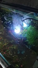 Fish-Tank-Light Air-Bubble-Light Aquarium Color-Changing Underwater Submersible LED Oxygen