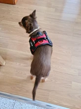 Arnés de perro sin tirar reflectante transpirable arnés de mascota ajustable para chaleco de perro ID parche personalizado para caminar al aire libre perro suministros