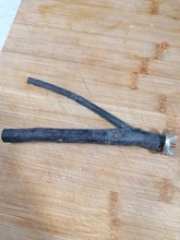 Pet loro materias primas Tenedor de madera de rama de árbol estante ardilla pájaro hámster rama perchas masticar morder juguetes con Material de madera