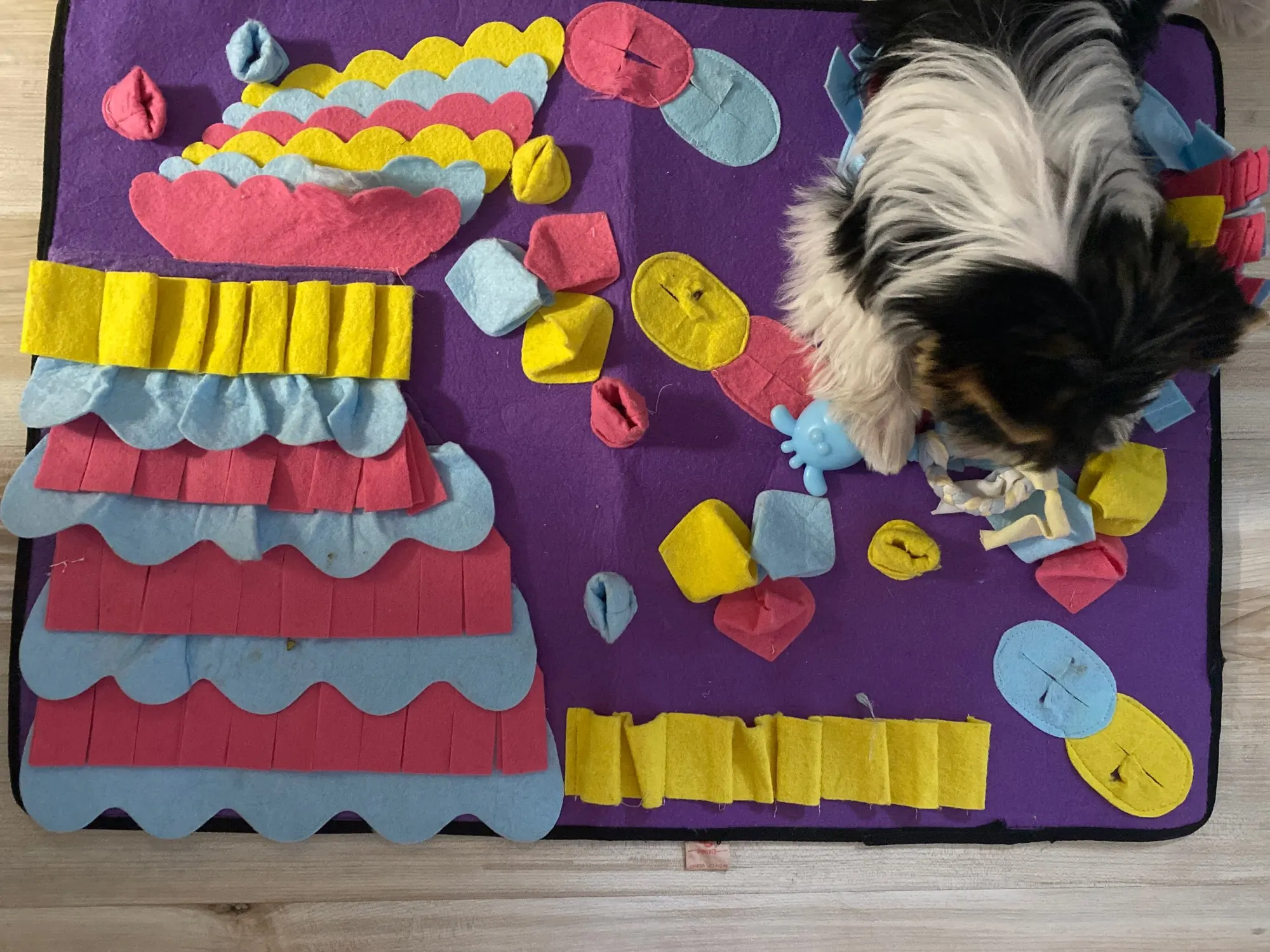 Training Pet Snuffle Mat – Lovepawz