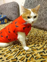 Pet Dog Winter Coat Small Dog Clothes Warm Dog Jacket Puppy Outfit Dog Coat Chihuahua