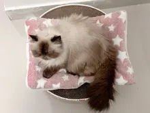 Bed-Mat Cushion Pet-Blanket Home-Rug Fleece-Pad Sleeping-Cover Cat Sofa Puppy Dog Soft-Flannel