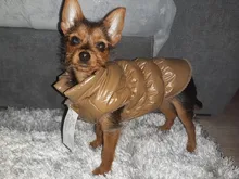 Ropa cálida de lana para perro, chaleco interior para mascota Bulldog, traje para cachorro, chaquetas para perro a prueba de viento, ropa de 8 colores para perros medianos y grandes