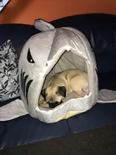 Dog House Shark Washable House Pet Bed Shark Dog Bed Cat Beds & Mats House Sleeping Sofa