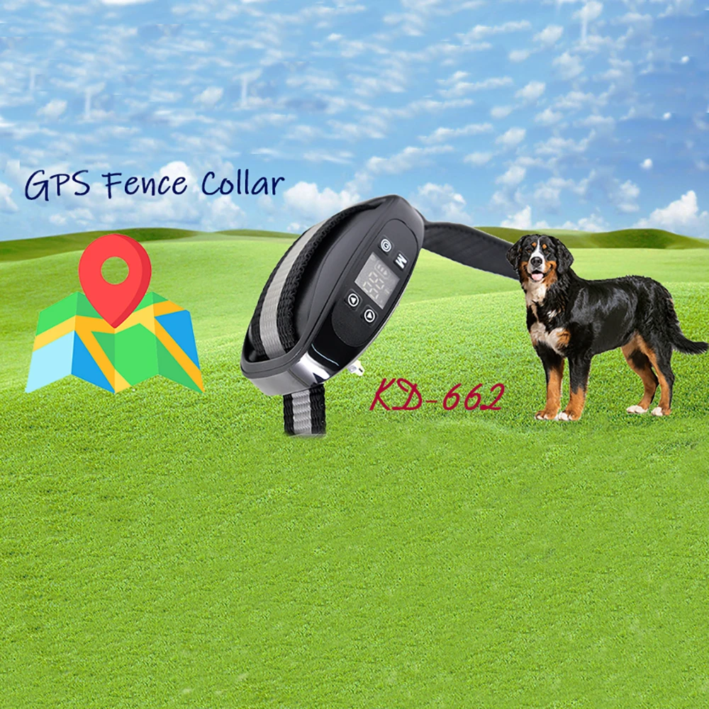 gps based dog fence