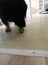 Bola de juguete interactiva para perro, Bola de goma natural con fugas, Limpieza de dientes, 5cm/7cm/11cm, nueva mascota de sandía