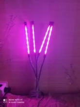 LED Grow Light USB Phyto Lamp Full Spectrum Grow Tent Complete Kit Phytolamp for Plants