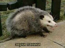 SKMEI-reloj Digital para hombre, resistente al agua, de pulsera Dual, LED, con alarma, cronógrafo, 1688