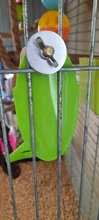 Vegetable-Holder Bird-Supply Parrot-Feeder Hanging Food-Container Plastic Fruit