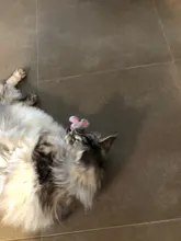 New Catnip Toy, Huggie the Gray Mouse, Fun Cat Toy with Real Catnip Inside