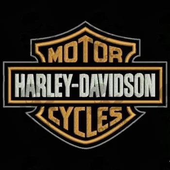 

CUSTOM MOTORCYCLE Iron patch toppa ricamata gestickter patch patch brode parche bordado