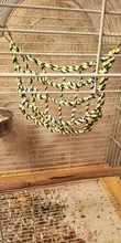 Climbing-Net Ladder Parakeet Swing Hanging-Rope Pets-Bird-Cage Gym-Toys Parrot Play 