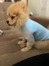 Ropa de perro de moda ropa de invierno para perros pequeños perros mediano chaqueta de abrigo Chihuahua ropa para mascotas para pequeño mediano perros Carlino