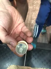 OIL-FILTER Scooter Bike Car-Dirt-Pocket Gasoline Motorcycle-Motorbike-Motor Petrol-Gas