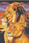 

Diamond painting 40x50 Lions