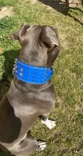 Pet-Dog-Collar Studded Wide-Spikes Doberman Pitbull 3inch for Large Breeds Pitbull/Doberman/M/..