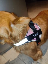 Arnés de perro sin tirar reflectante transpirable arnés de mascota ajustable para chaleco de perro ID parche personalizado para caminar al aire libre perro suministros