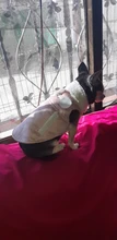 Fleece Vest Suit Coat Jackets Clothing Pet-Dog-Clothes New-Supplies Small Dog Winter
