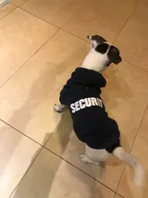 Seguridad ropa para gato mascotas abrigos para gato chaqueta sudaderas con capucha para los gatos traje cálido ropa para mascotas ropa de conejo Animales Mascotas traje para perros 30