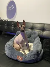 Asiento de coche para perros pequeños y medianos, cama de viaje para perros, asiento frontal/trasero, interior, portador de coche para mascotas