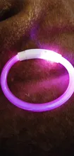 Collar con brillo luminoso para perro, gargantilla con luz led recargable, nocturna e intermitente, con iluminación de seguridad y carga usb para mascota