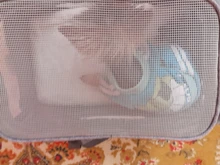 Dog-Carrier-Bags Airline Pet-Cat-Dog-Backpack Portable Cats Small Dog for Approved