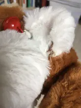 Muñeca de peluche eléctrica para niños, juguete de simulación para cachorros, Perro Robot interactivos inteligentes para caminar